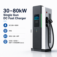 Chargeur rapide DC à connecteur unique 30kW 40kW 60kW 80kW CCS2 GB/T OCPP pour hôtels, flottes, concessionnaires et projets de parkings publics
