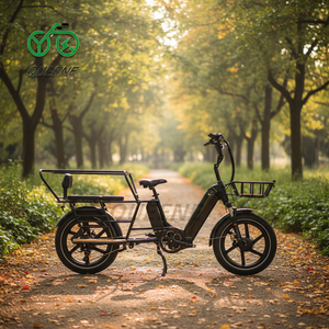 QUEENE Bicicleta Eléctrica Familiar con Llantas Anchas, 48V/52V, 2000W, Motores Duales, Baterías Dobles de 40AH - Product Image 3