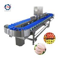 Automatische avocado- en groentegewichtsorteermachine met nauwkeurige temperatuurregeling voor fruit- en groenteverwerkingsbedrijven