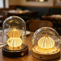 Veilleuse Épine de Mer avec Interrupteur Latéral, Guirlande Lumineuse LED USB, Support en Bambou, Boucle à Clip EVA, Fleurs Séchées Préservées, Cadeau d'Anniversaire