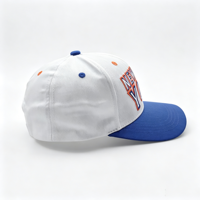 Casquette de baseball personnalisée de haute qualité, bicolore, structurée, avec fermeture snapback et logo brodé en 3D pour les sports de plein air