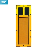 Fabricante de Galgas Extensométricas Lineales Electrónicas de 100 mm de Largo