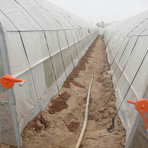 Serre à champignons à prix d'usine <span class=keywords><strong>2022</strong></span> - Product Image 6