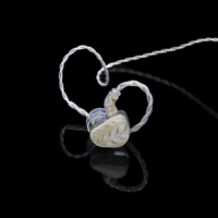 10mm béryllium pilote IEM écouteurs technologie HIFI casque bouchon d'oreille casque avec 4 brins 2Pin 0.78 OFC câbles plaqués argent