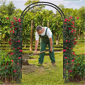 Vườn sử dụng kim loại vòm với hoa đứng leo hỗ trợ cho các nhà máy và rau quả - Product Image 3