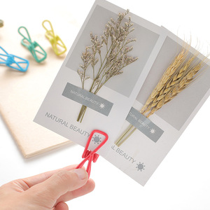 Pinzas para la ropa, clips para secar el ropa, resistentes al viento, fijación fuerte, recubiertas de plástico, antideslizantes, paquete de 10 - Product Image 4