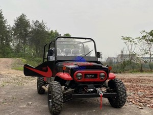 Jeep de 250cc/150cc, Auto Convertible, Jeep a Gasolina, Mini Jeep Eléctrico, Buggy Todoterreno - Product Image 2