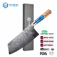 Couteau à viande japonais professionnel de luxe en acier Damas VG10 avec manche en bois, style vintage, couteau de cuisine