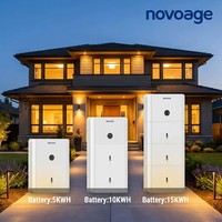Sistema de Almacenamiento de Energía Solar Doméstico Todo en Uno de 15KWH, Batería LiFePO4 de 5-10KW con Diseño Híbrido Apilable para Novoage Gemini