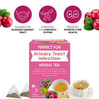 Sachets de tisane personnalisés D-mannose Canneberge Pissenlit racine Gingembre uti thé transparent thé UTI