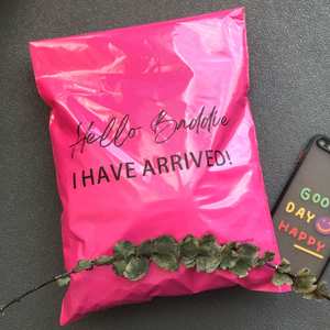 Bolsas de Envío de Polietileno 100% Biodegradables, Bolsas de Embalaje Personalizadas con su Logotipo, Diseño para Empacar Camisetas - Product Image 1