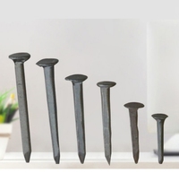 High Quality Zinc-Plated Steel Fasteners Hardware Heavy Head Shoe Tacks Nail
