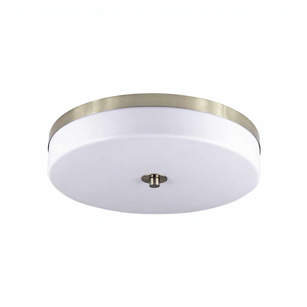 Cross-border 16-inch Aluminum American-style Five-color Temperature Dimmable LED Ceiling Lamp for Kitchen Living Room Dining