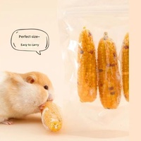 Maïs naturel frais en épi pour hamster, friandise à mâcher pour les dents, graine en épi pour cochon d'Inde et petits animaux, vente en gros