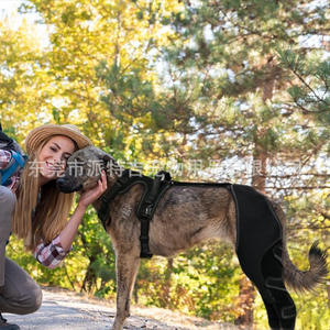 ที่รองเข่าแบบถอดได้ใช้ได้สองทางสำหรับสุนัขสายรัดสัตว์เลี้ยงที่ทันสมัยอุปกรณ์ป้องกันขาหลังแบบกระดุมปิดด้วยริบบิ้นแข็งที่คลุมข้อต่อ - Product Image 1