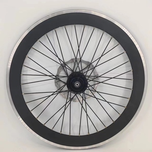 <span class=keywords><strong>Roue</strong></span> arrière à rayons 20 pouces avec moyeu adapté au frein à disque, jante de <span class=keywords><strong>roue</strong></span> de vélo - Product Image 3