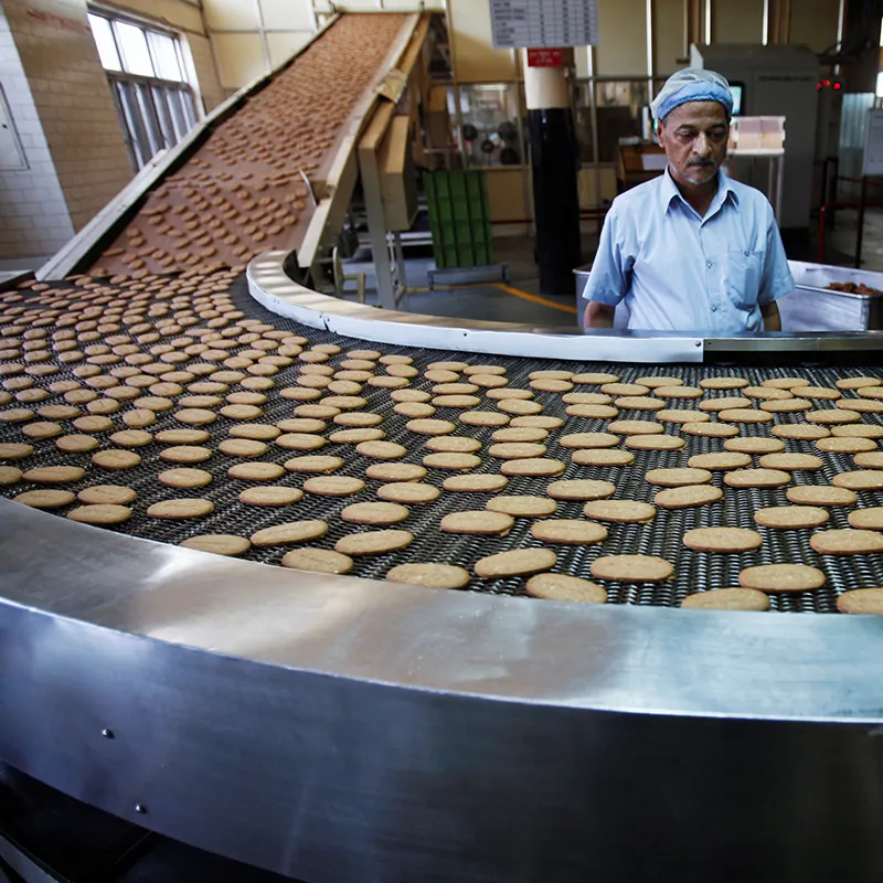 Con Chó Bánh quy Máy làm bánh bóng-máy Biscuit Biscuit khuôn máy