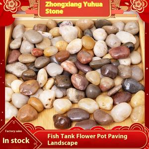 Kosteneffectieve Bestrating Witte Rivier Rotsen Kleurrijke Tuin Huisdecoratie Stenen - Product Image 5