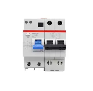 GSH202 A-C40/0.03 Household circuit breaker with leakage switch
