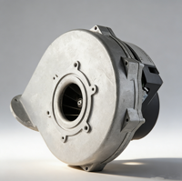 Chaudière murale de 8 pouces à gaz mixte, alimentée par batterie 230V 300W, sortie latérale, pour la transformation alimentaire, OEM, en aluminium