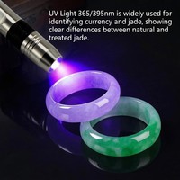 Mini lampe torche UV 365 nm industrielle en acier inoxydable IP55, portable, pour inspection par fluorescence, torche à lumière noire, batterie rechargeable