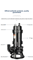 Pompe submersible JINTUN 2 pouces 3 CV pour drainage des eaux usées, débit élevé 10M/H, usage résidentiel et industriel, garantie 1 an, fiable