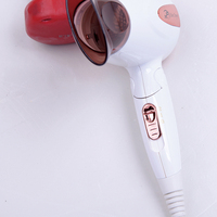 Sèche-cheveux portable pliable mini pas cher en gros, sèche-cheveux inversé Revair, sèche-cheveux de voyage pour hôtel