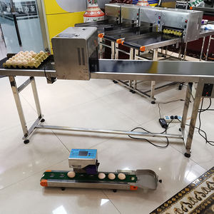 เครื่องพิมพ์กล่องไข่เครื่องติดฉลากและพิมพ์บนถาดไข่ - Product Image 3