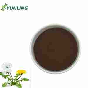 Порошок экстракта корня одуванчика пищевого качества, 50% сапонинов, в барабанной упаковке, прямые поставки с завода - Product Image 1