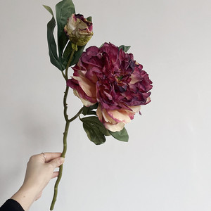 Peonía Artificial de Alta Gama al por Mayor, con 2 Cabezas y Capullo, Tacto Real, Sensación Elegante al Tacto, Flor Grande de Látex para Decoración del Hogar - Product Image 4
