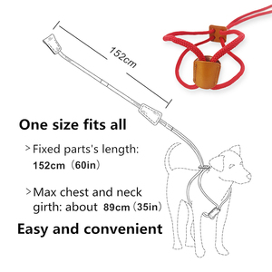 Tali hewan peliharaan 2 dalam 1, aksesori hewan peliharaan tali nilon panjang rompi timbal tali anjing dapat disesuaikan dan Harness Set untuk anjing kecil sedang besar - Product Image 3