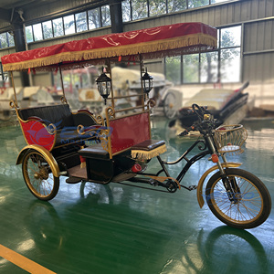 2026 High Quality Human Tricycle Sightseeing Car Passenger Car Cycle Rickshaws for Sale Rickshaw Retro <b>Pedal</b>-powered Tricycle - Product Image 4