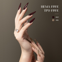Nouvelle Formule 102 Couleurs Vernis Gel Haute Pigmentation 15ml Sans TPO/HEMA Boîte de Vernis à Ongles Gel OEM Logo Personnalisé Gratuit Vernis à Ongles UV