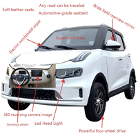 Mini-voiture électrique à basse vitesse sans permis, petite voiture électrique à quatre roues pour adultes, 3000-5000 W