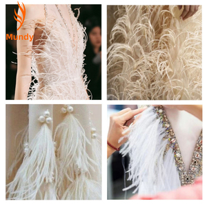 Venta al por Mayor de Borlas de Plumas de Avestruz de 10-15 cm, 100 Piezas/Paquete, para Disfraces, Costura, Decoración de Vestidos y Accesorios - Product Image 6