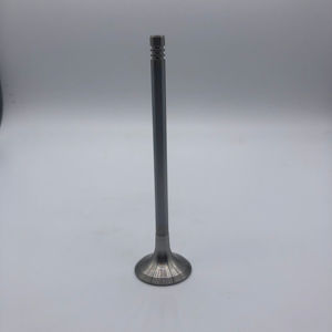 奥迪Q7 4.2杆C6 4.2 BAT BBK BHF A8 4.0T OE 06E109601E 06D109611H的工厂价格锻造发动机进气门排气门 - Product Image 3