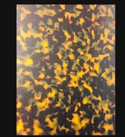 Feuille d'acétate de cellulose pour Eye Wear