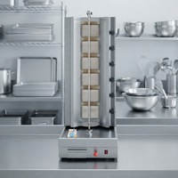 Machine à shawarma à gaz à 6 brûleurs, rôtissoire verticale rotative pour kebab, gril à viande commercial
