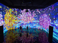 Environnement de projection interactif immersif AR personnalisé, système de jeu mural et de sol numérique pour aire de jeux intérieure