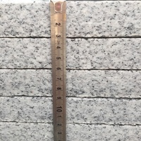 G603 Pierres de granit naturel Gris clair Carreau de granit flammé pour décoration d'escaliers du fabricant