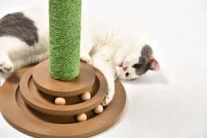 Uzun boylu kedi tırmalama sütunu sıcak satış kaktüs Scratcher doğal Sisal halatlar interaktif kedi oyuncak kulesi uzun boylu kedi tırmalama sütunu - Product Image 3