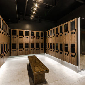 פנולי למינציה קומפקטית ארון ארונות חדר כושר ריהוט - Product Image 1