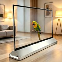 Paneles de Pantalla OLED Transparentes a Todo Color de Alta Transparencia para Tiendas Minoristas, Aeropuertos, Centros Comerciales, Pantallas Publicitarias, OEM SDK
