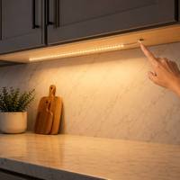 Kit de Luz LED SHIZI DIY, Módulo de 20 LED Recargable con Sensor Táctil, Placa de Control y Batería para Lámpara de Espejo, OEM