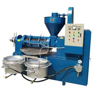 New Technology African Indonesia Industrial Complete Diesel Palm Oil Press Production Line