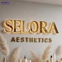 Enseigne rétroviseur LED 3D personnalisée en acier inoxydable, enseigne murale lumineuse, enseigne à lettres LED pour centre de beauté, spa, studio