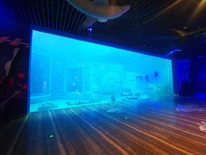 2022 חם למכור התאמה אישית גדול אקריליק מלבן דגי אקווריום אקריליק אקווריום custom דגי טנק - Product Image 2