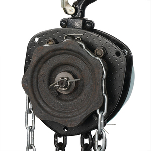 Chất lượng cao 1000kg đến 10 tấn của nhãn hiệu hoist chuỗi Thép ròng rọc khối cho tay nâng & cẩu - Product Image 6