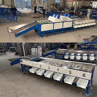Machine de classement de triage d'olives Machine de classement de tomates cerises Machine de classement de fruits pour fruits ovales