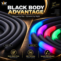 D25 Noir 360 °   Tube LED programmable SPI RGB Pixel Neon Flex 24V WS2811 adressable pour synchronisation musicale, éclairage de scène DJ